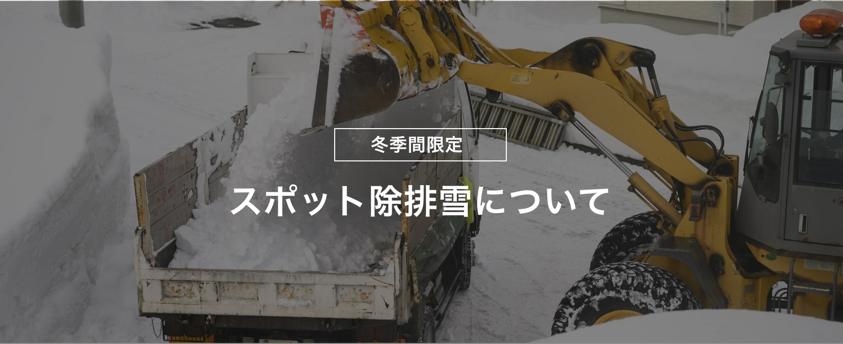 冬季間限定スポット除排雪について